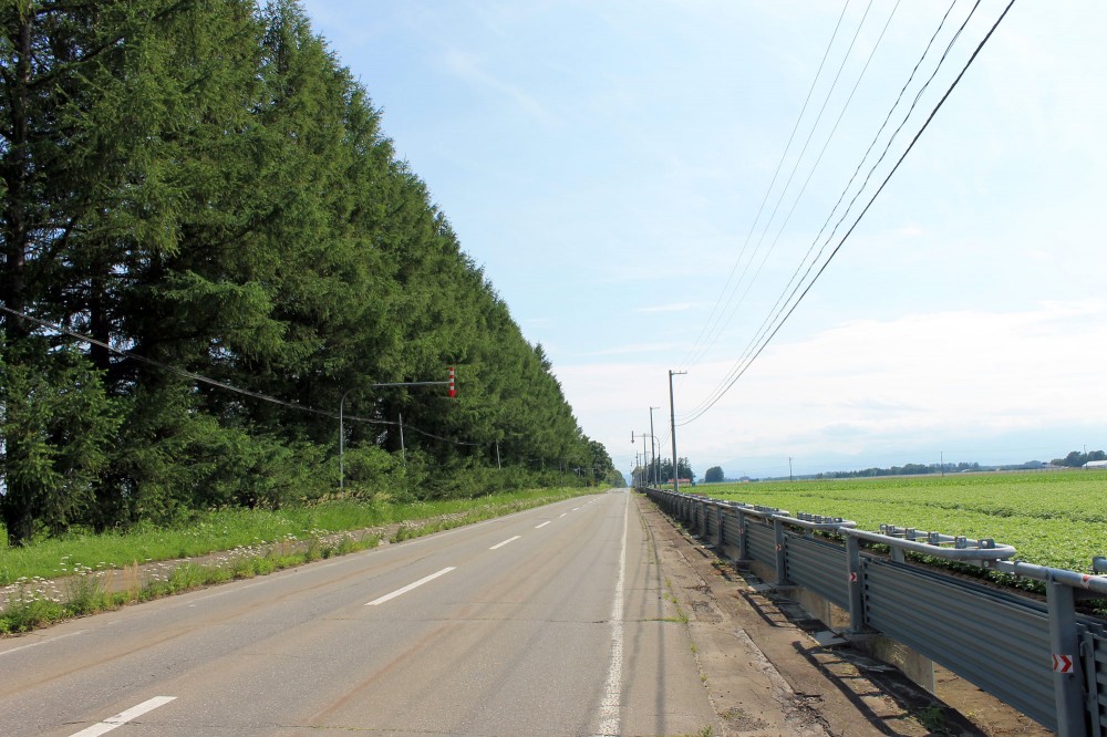 真っ直ぐな道 公式 北海道十勝 トヨニシファーム