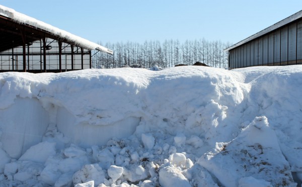 雪に埋もれたラップサイレージ
