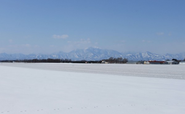 融雪剤