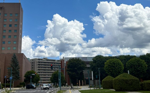 なつぞら