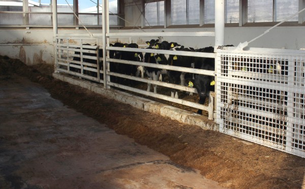 ちょっと我慢してね