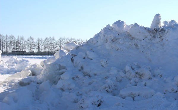 慣れてきました