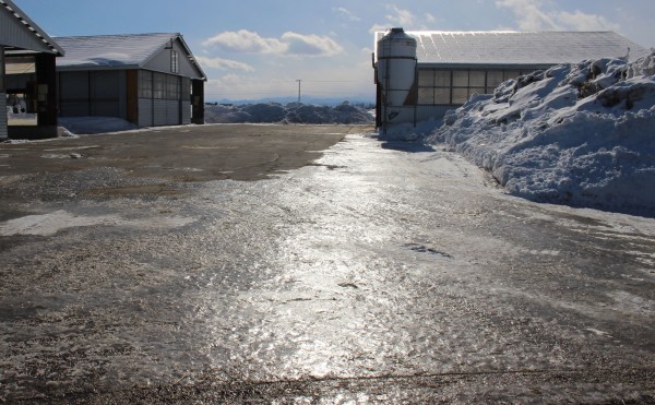 スケートリンク状態