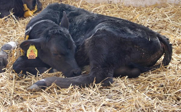 ２月4日、3月4日